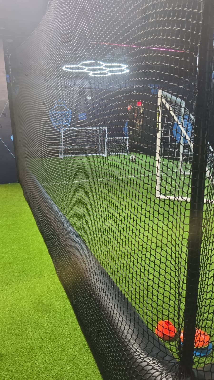 The Cage