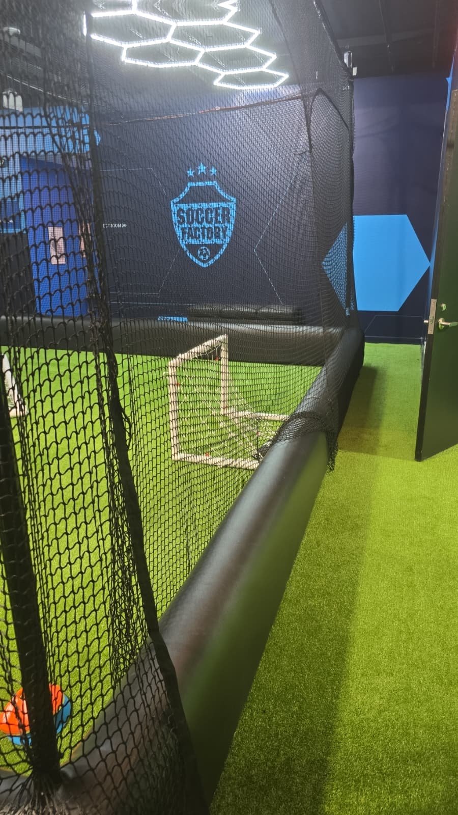 The Cage