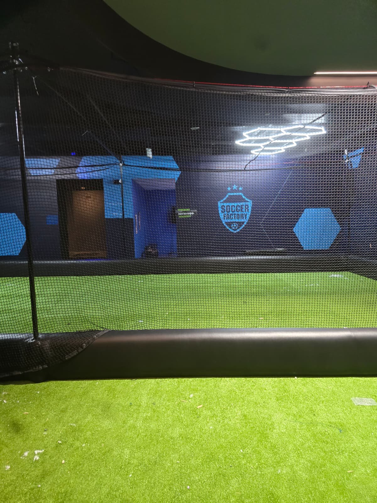 THE CAGE